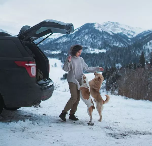 Dogs taking a break from a road trip to stretch their legs.